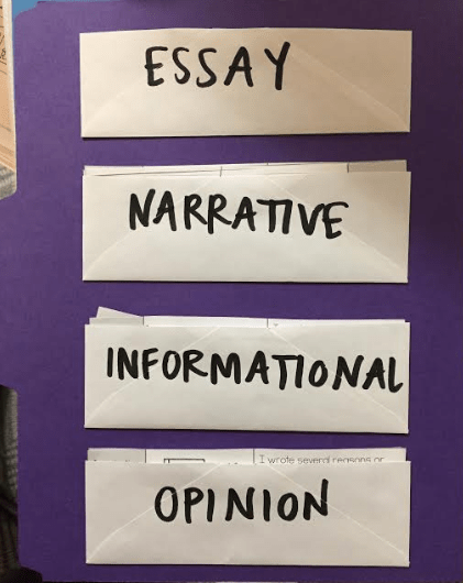 Screen Shot 2019-11-05 at 2.16.26 PM