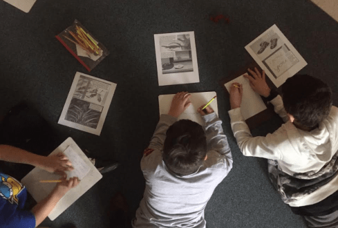 Screen Shot 2020-03-06 at 2.47.47 PM